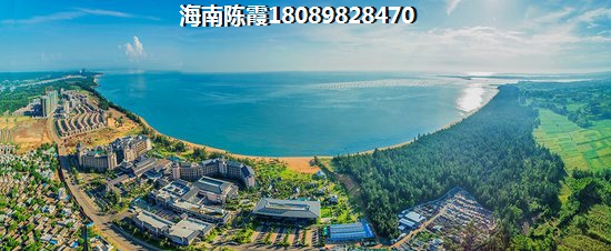 天朗椰岛小城价纸如何？