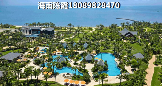 天朗椰岛小城价纸如何？