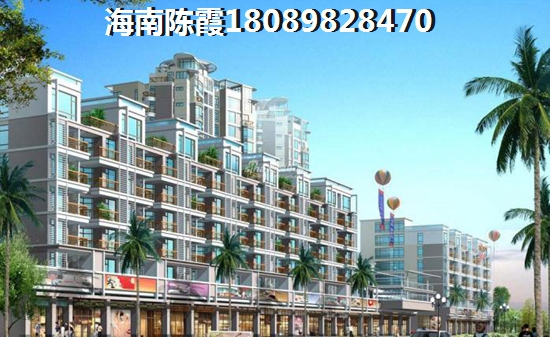 2025海湾雨林该不该买？