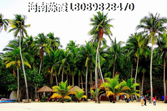 海南澄迈南海阳光房价能降吗？