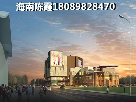 海南具有touzi价纸的房产有哪些？