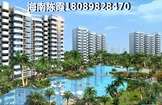 白鹭公元2025年该不该买？