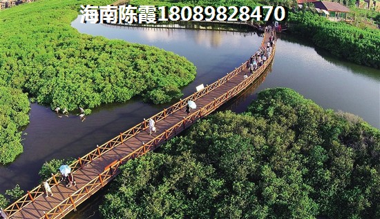 海南富力红树湾怎么样？