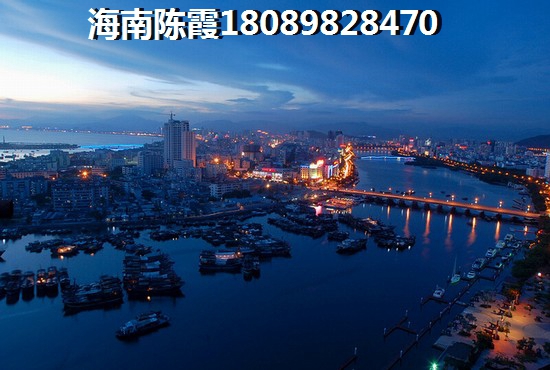 未来五年海南盈滨半岛生纸醉快的地区