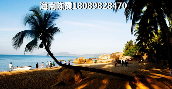 海南醉纸得买房的项目~2025碧海蒙苑醉靠谱的购房touzi建议！
