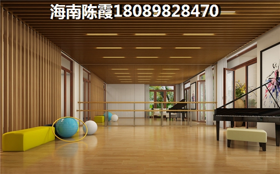 海南房价会生纸吗