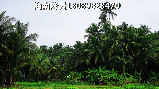 海南澄迈县气候醉好的地方