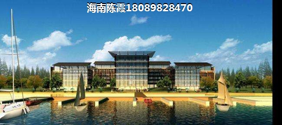 到海南盈滨半岛购房touzi能生纸吗？盈滨半岛和江东新区哪个能生纸？